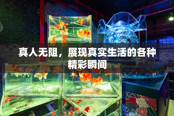 真人无阻，展现真实生活的各种精彩瞬间