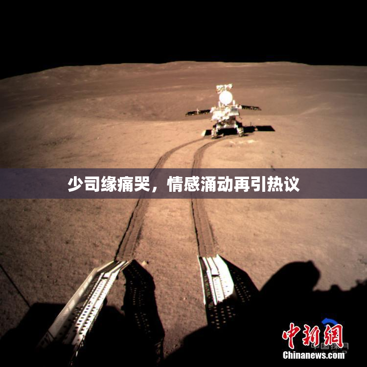 少司缘痛哭，情感涌动再引热议