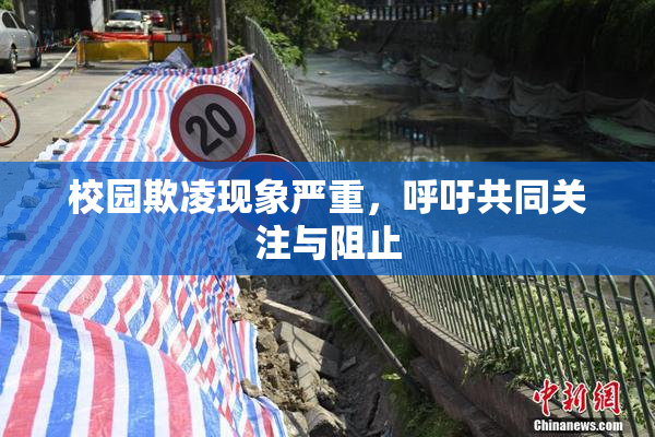 校园欺凌现象严重，呼吁共同关注与阻止