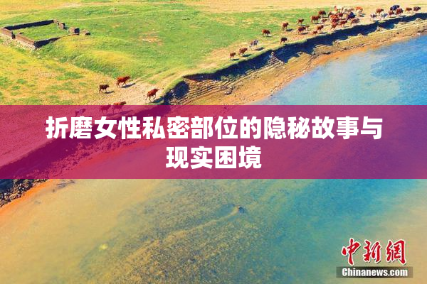 折磨女性私密部位的隐秘故事与现实困境