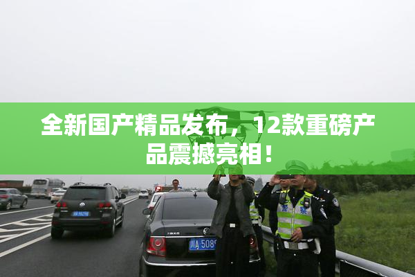 全新国产精品发布，12款重磅产品震撼亮相！