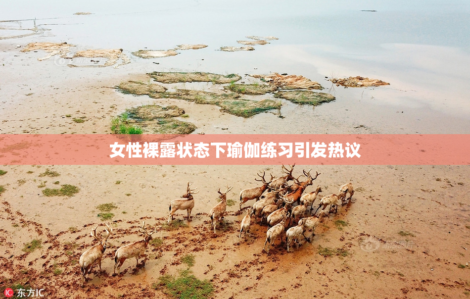 女性裸露状态下瑜伽练习引发热议