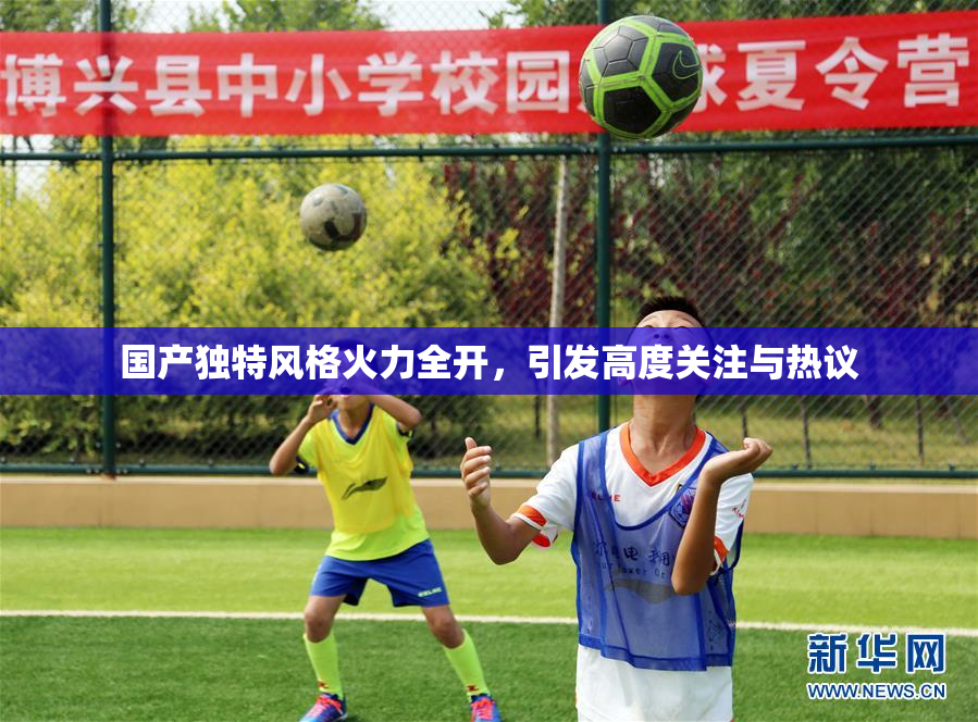 国产独特风格火力全开，引发高度关注与热议