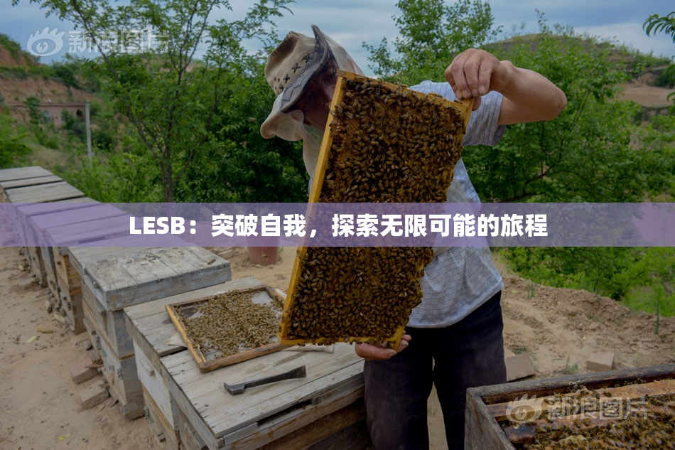 LESB：突破自我，探索无限可能的旅程