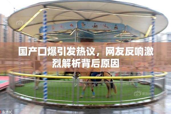 国产囗爆引发热议，网友反响激烈解析背后原因