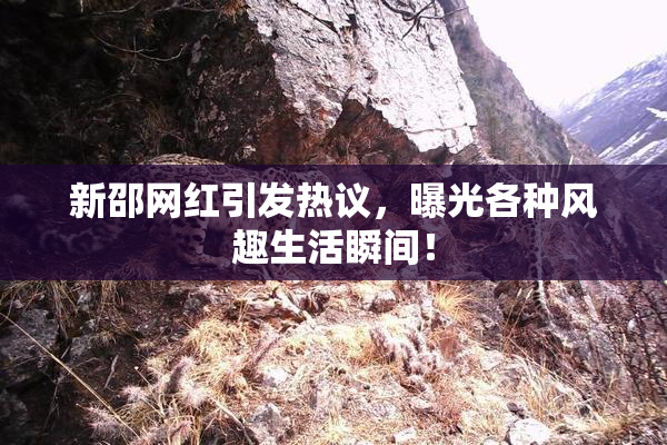 新邵网红引发热议，曝光各种风趣生活瞬间！