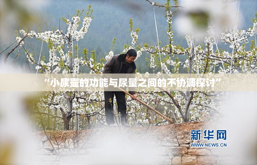 “小尿壶的功能与尿量之间的不协调探讨”