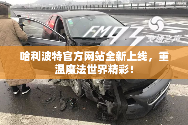 哈利波特官方网站全新上线，重温魔法世界精彩！