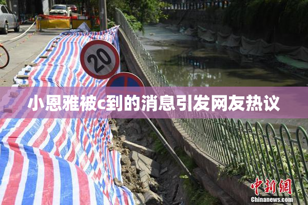 小恩雅被c到的消息引发网友热议