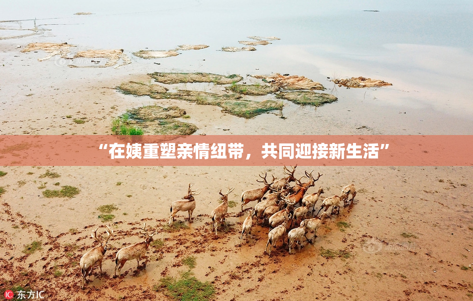 “在姨重塑亲情纽带，共同迎接新生活”