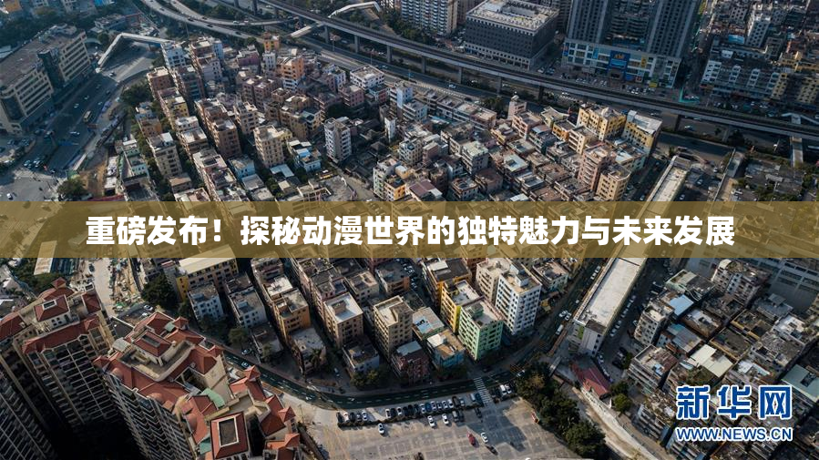 重磅发布！探秘动漫世界的独特魅力与未来发展
