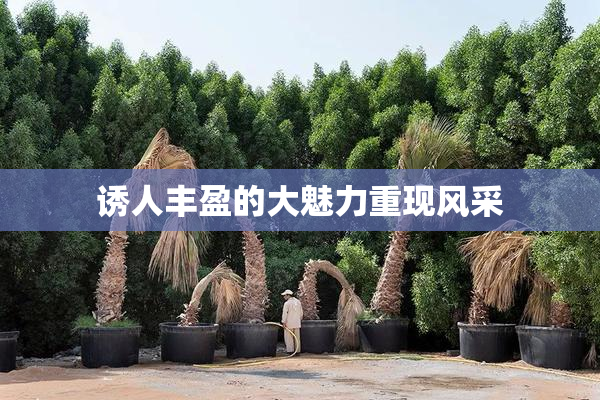 诱人丰盈的大魅力重现风采