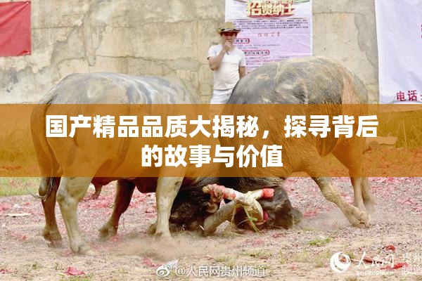 国产精品品质大揭秘，探寻背后的故事与价值
