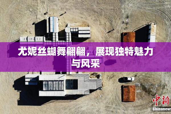 尤妮丝蝴舞翩翩，展现独特魅力与风采