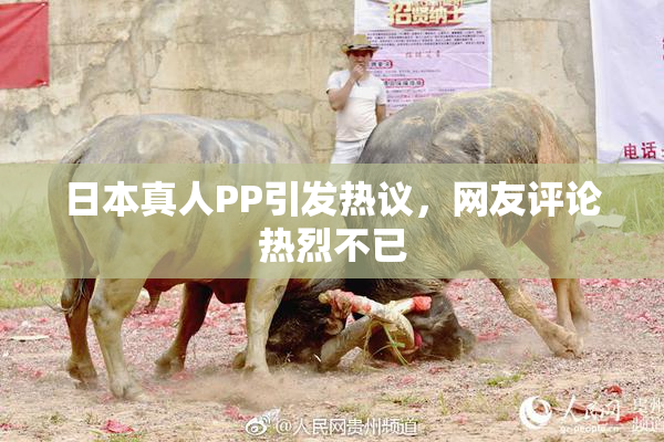 日本真人PP引发热议，网友评论热烈不已