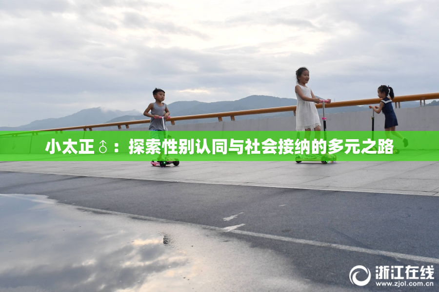小太正♂：探索性别认同与社会接纳的多元之路