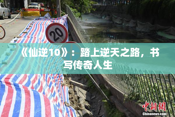 《仙逆10》：踏上逆天之路，书写传奇人生