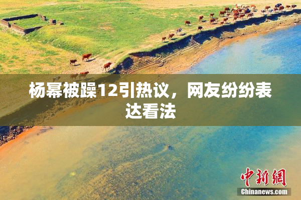 杨幂被躁12引热议，网友纷纷表达看法