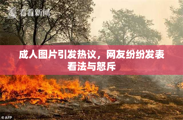 成人图片引发热议，网友纷纷发表看法与怒斥