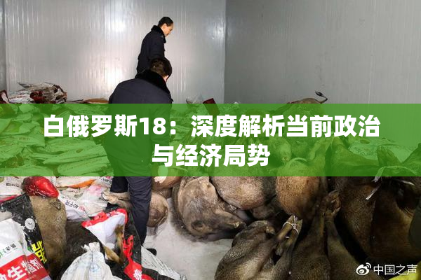 白俄罗斯18：深度解析当前政治与经济局势