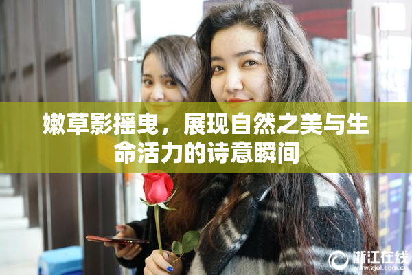 嫩草影摇曳，展现自然之美与生命活力的诗意瞬间