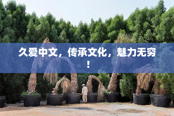 久爱中文，传承文化，魅力无穷！