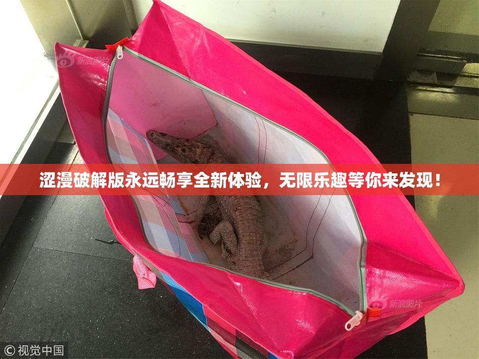 涩漫破解版永远畅享全新体验，无限乐趣等你来发现！