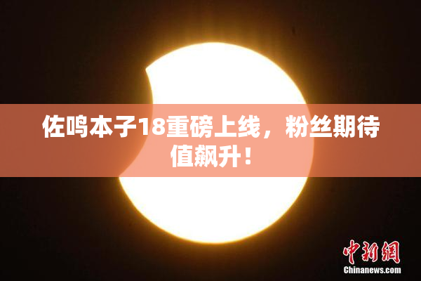 佐鸣本子18重磅上线，粉丝期待值飙升！