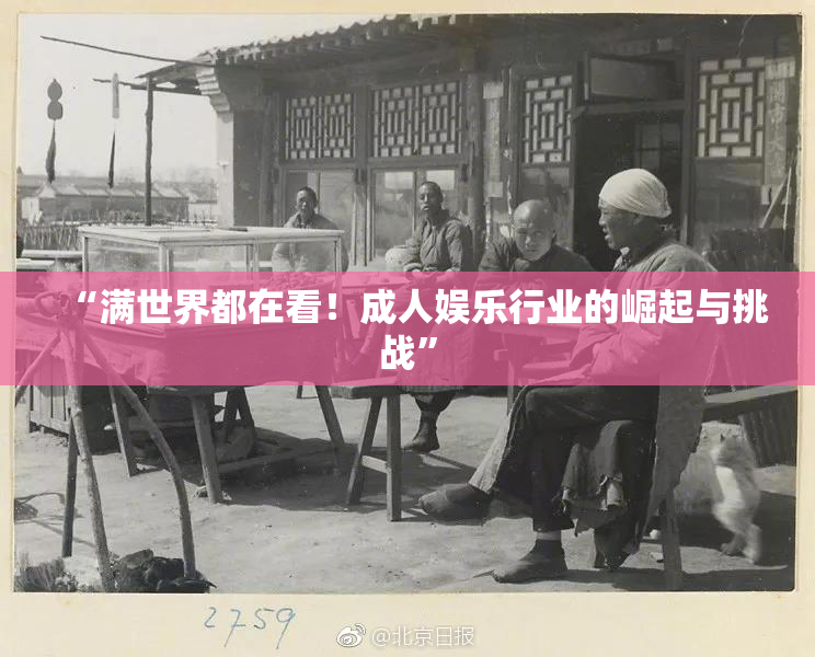 “满世界都在看！成人娱乐行业的崛起与挑战”