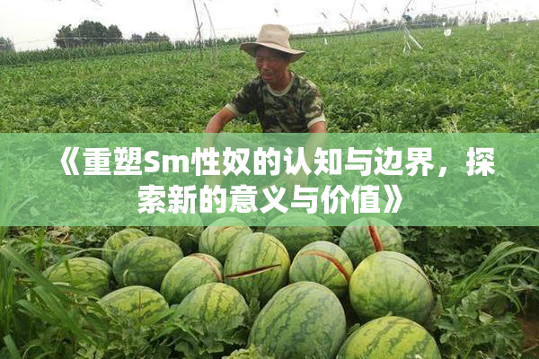 《重塑Sm性奴的认知与边界，探索新的意义与价值》
