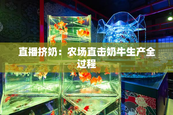 直播挤奶：农场直击奶牛生产全过程