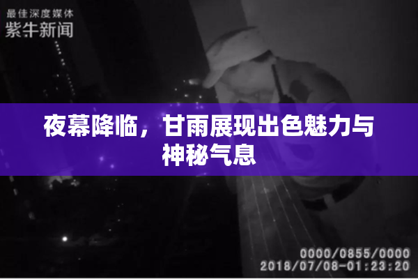 夜幕降临，甘雨展现出色魅力与神秘气息