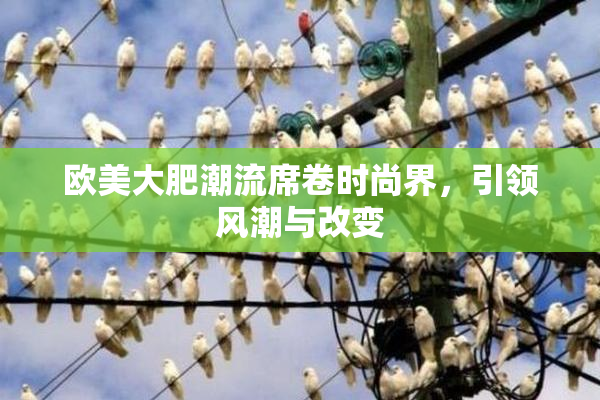 欧美大肥潮流席卷时尚界，引领风潮与改变