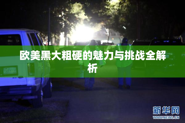 欧美黑大粗硬的魅力与挑战全解析