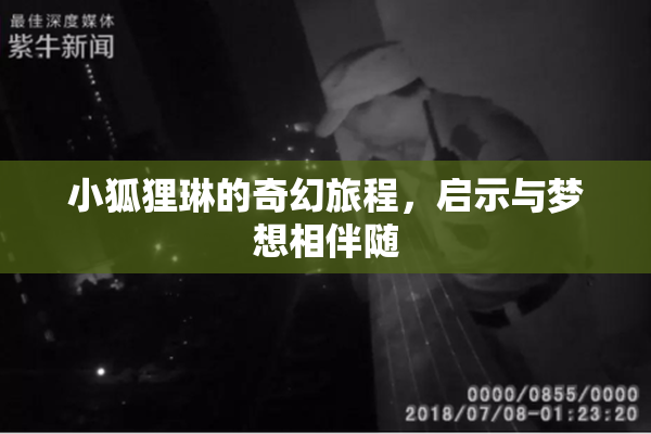 小狐狸琳的奇幻旅程，启示与梦想相伴随