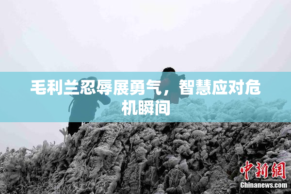 毛利兰忍辱展勇气，智慧应对危机瞬间