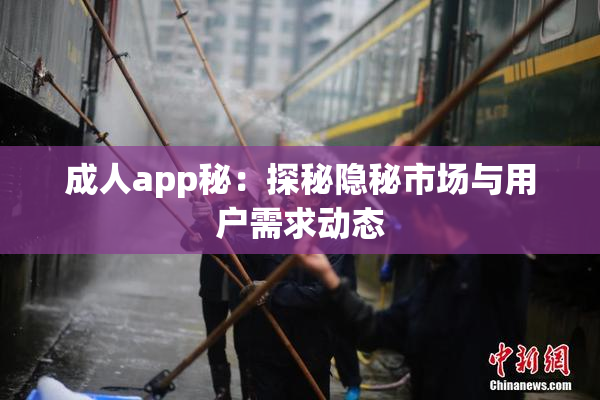 成人app秘：探秘隐秘市场与用户需求动态