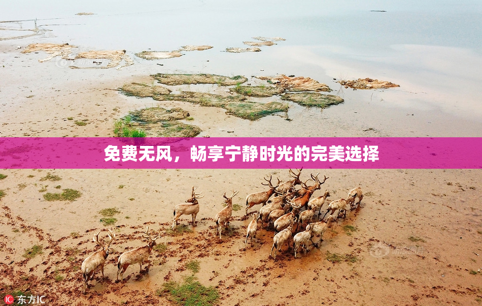 免费无风，畅享宁静时光的完美选择