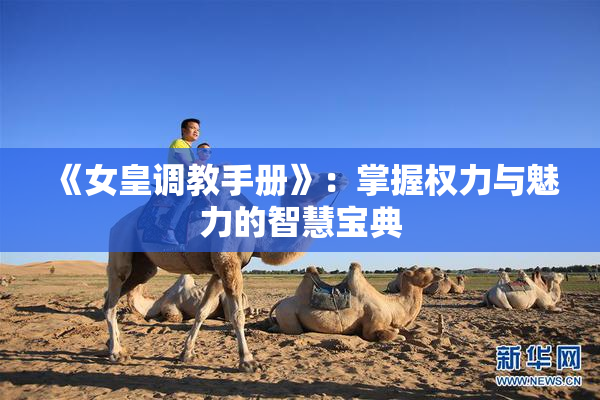 《女皇调教手册》：掌握权力与魅力的智慧宝典