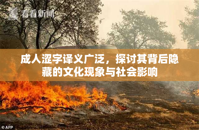 成人涩字译义广泛，探讨其背后隐藏的文化现象与社会影响