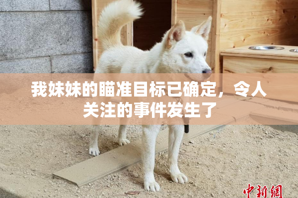 我妹妹的瞄准目标已确定，令人关注的事件发生了