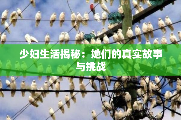 少妇生活揭秘：她们的真实故事与挑战
