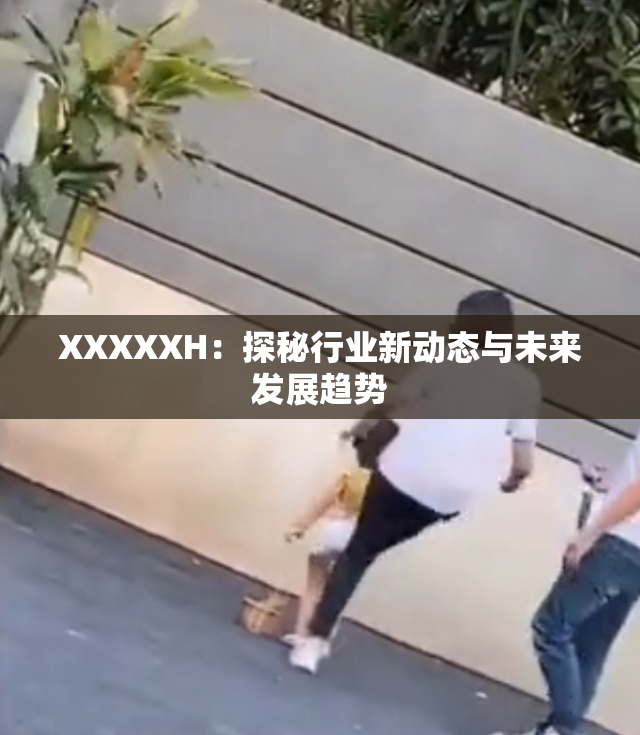 XXXXXH：探秘行业新动态与未来发展趋势