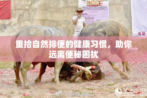 重拾自然排便的健康习惯，助你远离便秘困扰