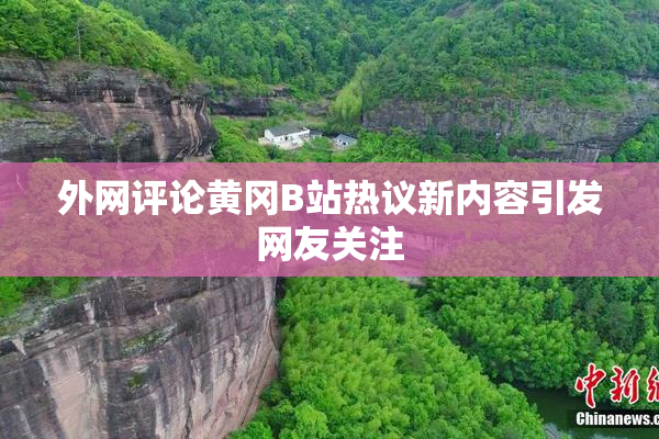 外网评论黄冈B站热议新内容引发网友关注
