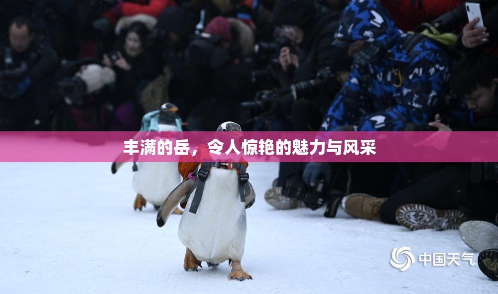 丰满的岳，令人惊艳的魅力与风采
