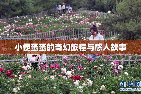 小便蛋蛋的奇幻旅程与感人故事