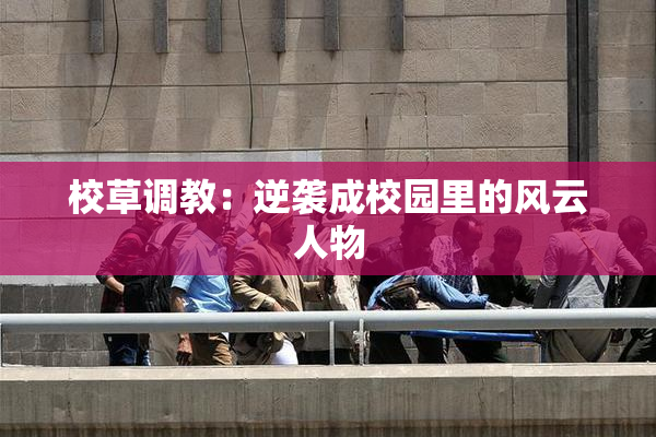 校草调教：逆袭成校园里的风云人物