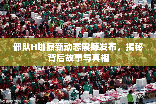 部队H啪最新动态震撼发布，揭秘背后故事与真相