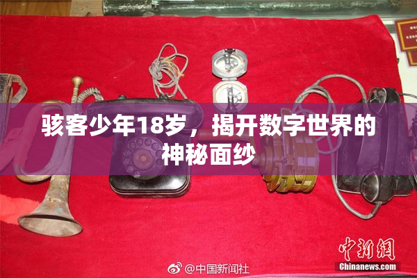 骇客少年18岁，揭开数字世界的神秘面纱